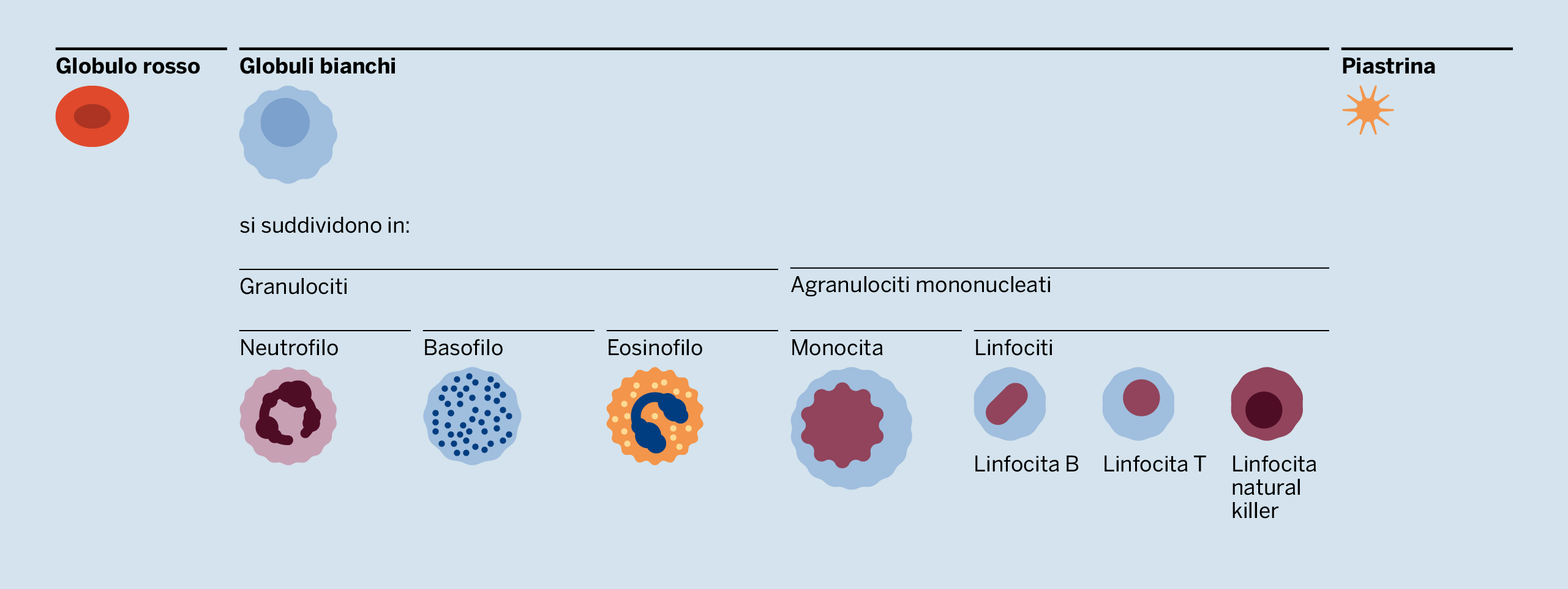 emocomponenti