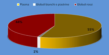 grafico_sangue